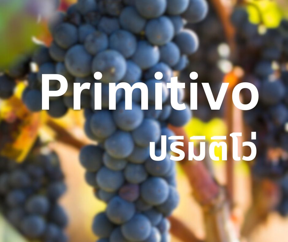 primitivo